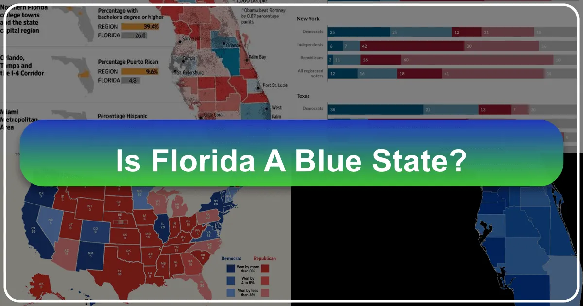 Florida's Vibrant Tapestry: Exploring the Sunshine State Beyond Political Labels