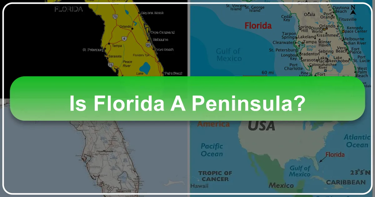 Is Florida a Peninsula?