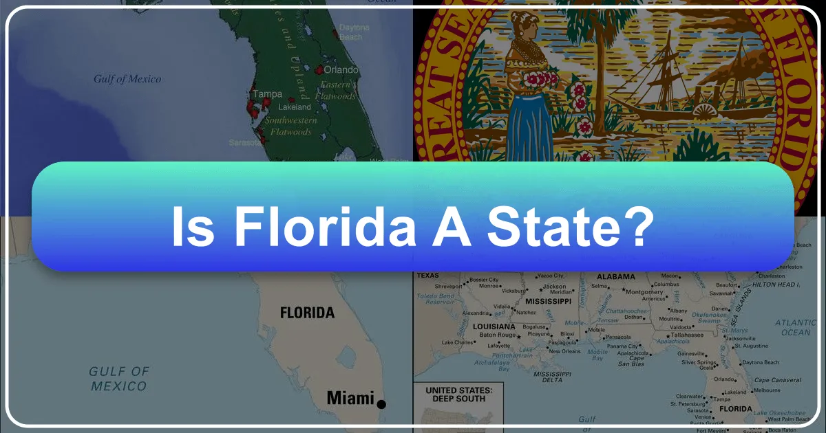 Is Florida a State? Unveiling the Sunshine State's Irresistible Allure