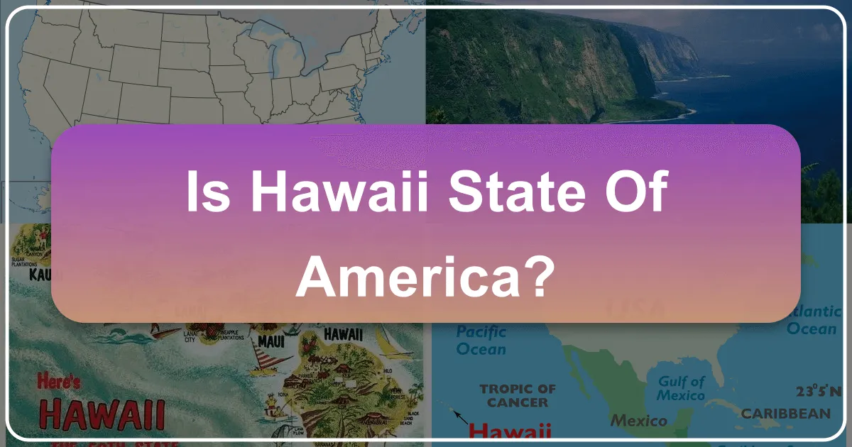 Is Hawaii State of America?