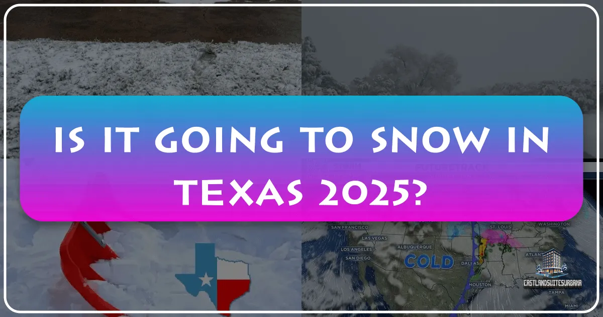 Is it going to snow in Texas 2025?