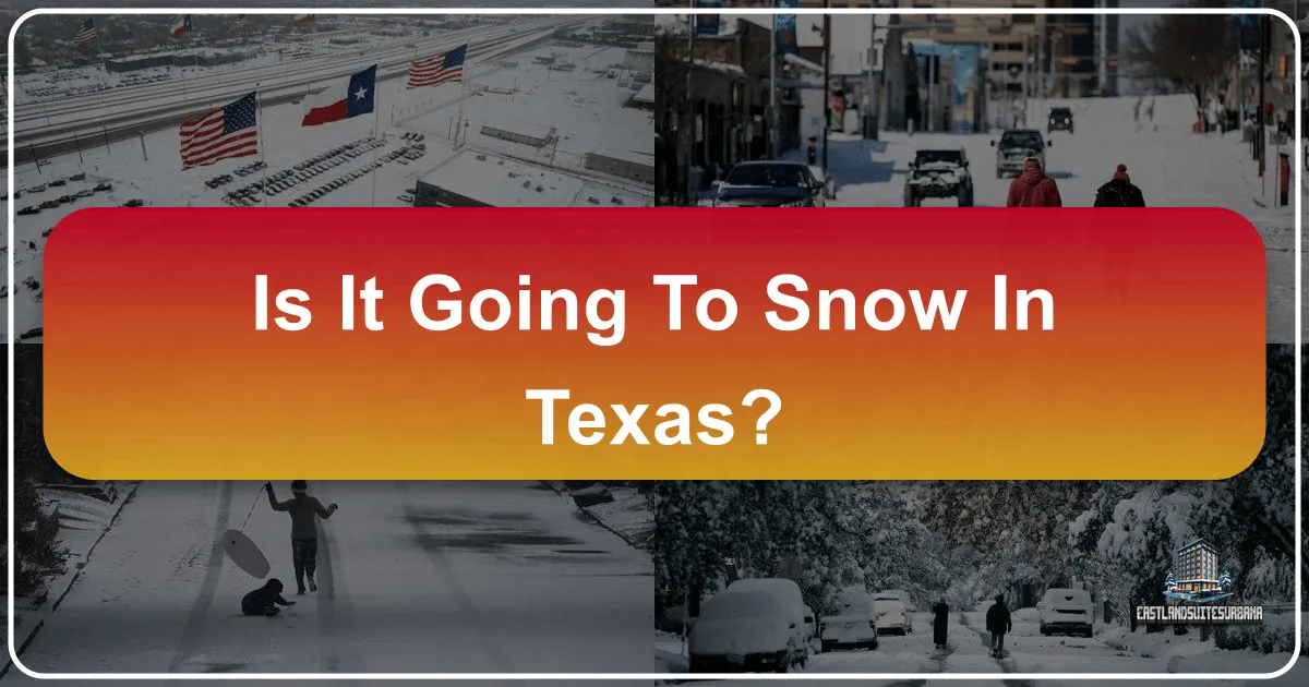 Is It Going to Snow in Texas?
