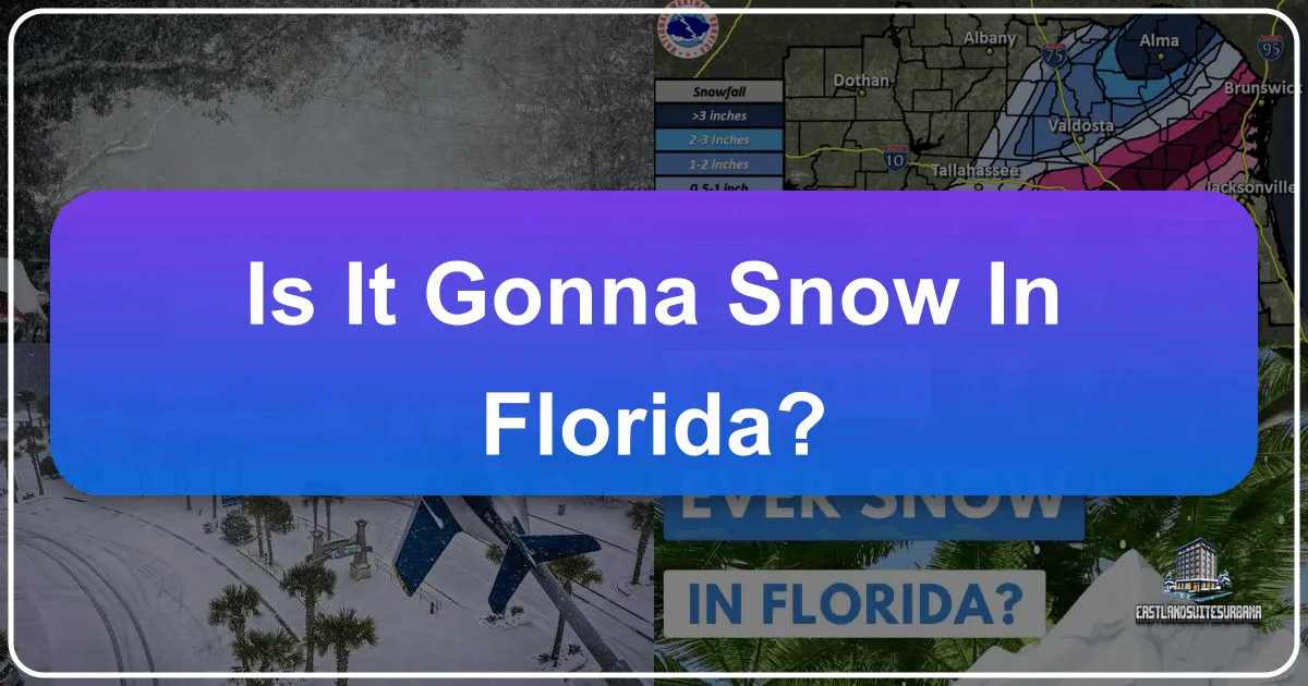 Is It Gonna Snow In Florida?