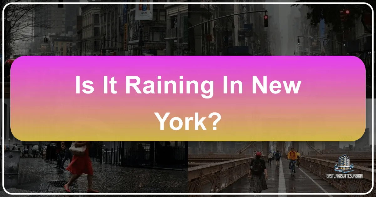 Is It Raining In New York?