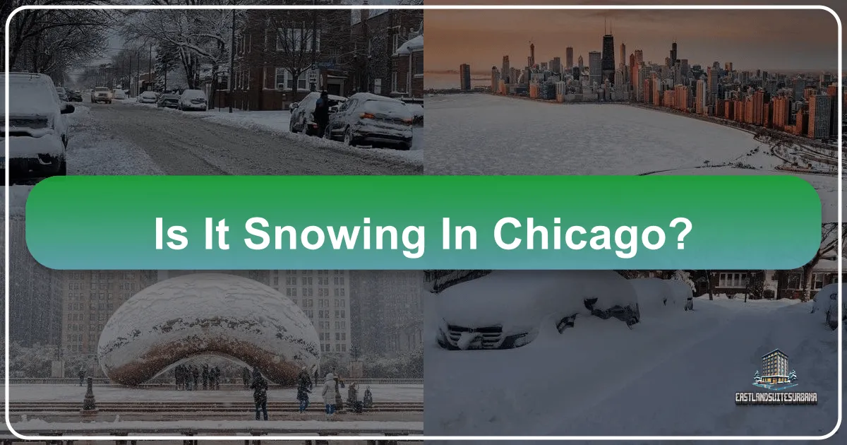 Is It Snowing in Chicago?