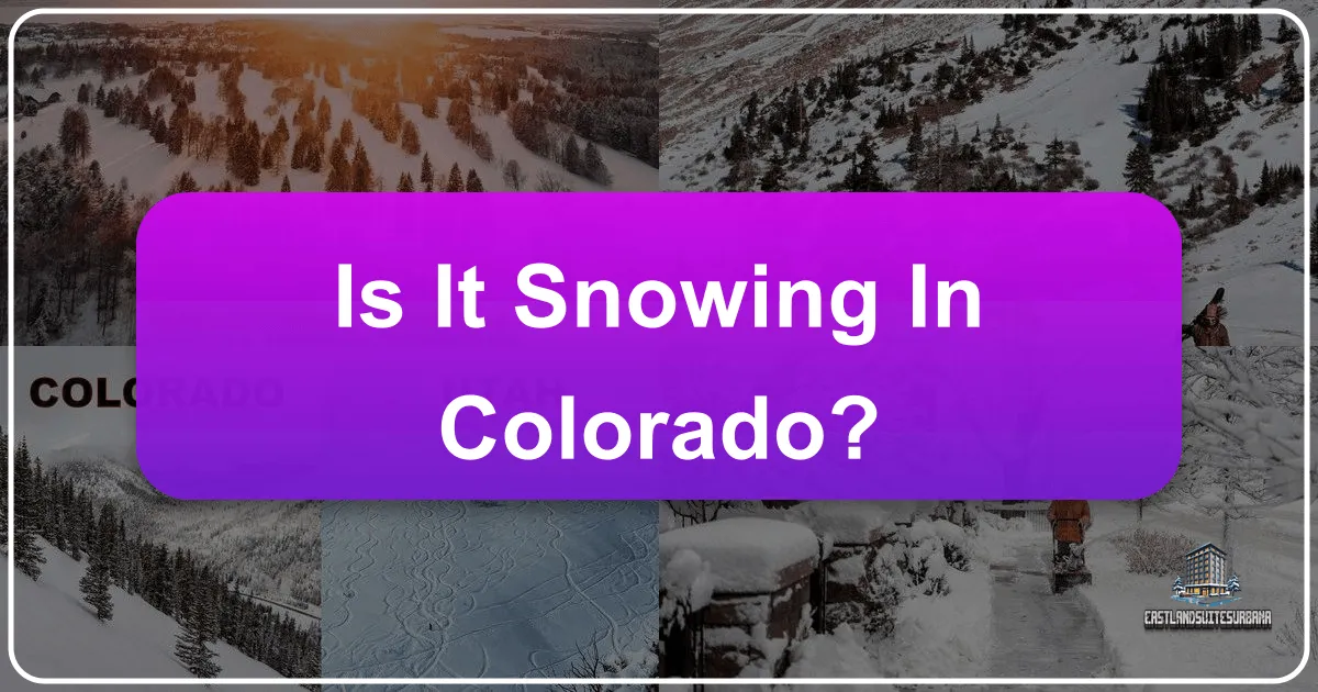 Is it Snowing in Colorado?