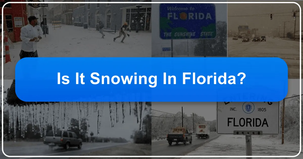 Is It Snowing in Florida?