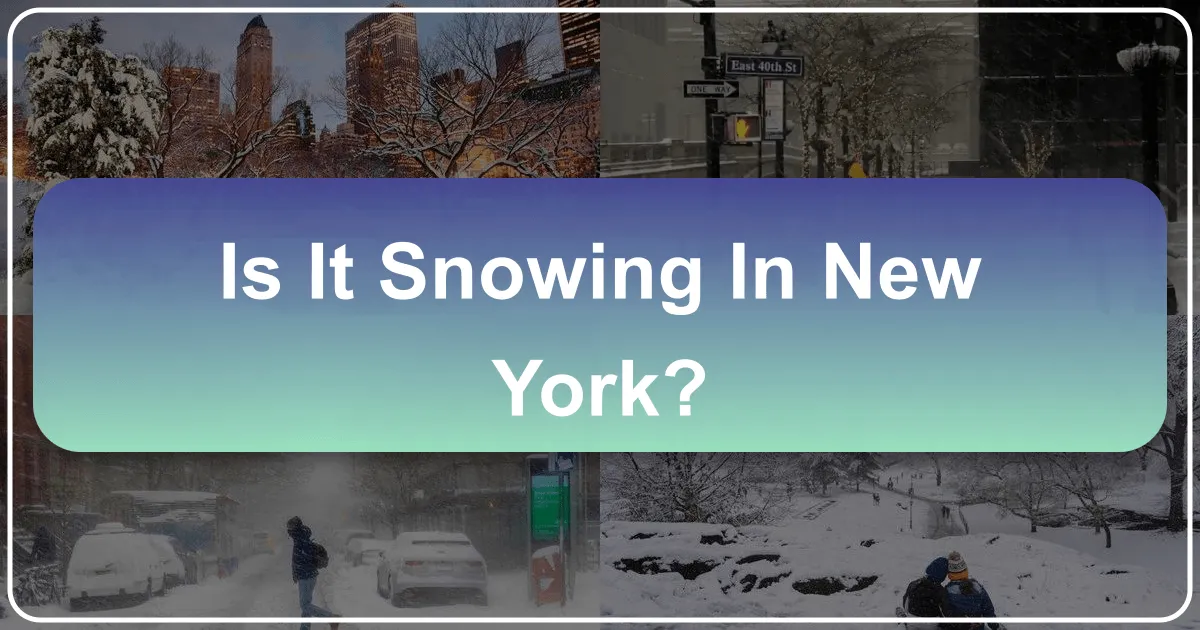 Is It Snowing in New York?