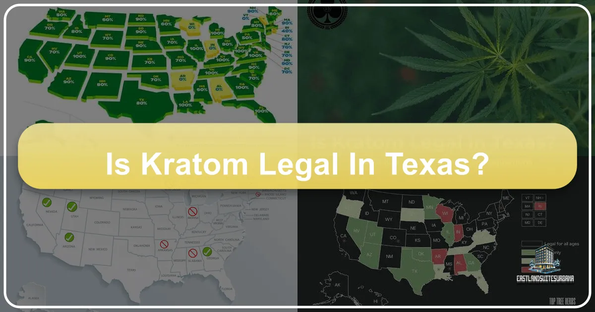 Exploring Texas's Diverse Landscapes and Kratom Regulations: A Traveler's Essential Guide