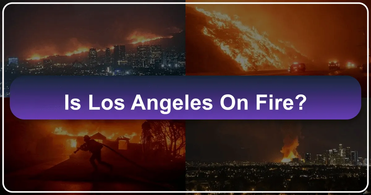 Is Los Angeles on Fire?