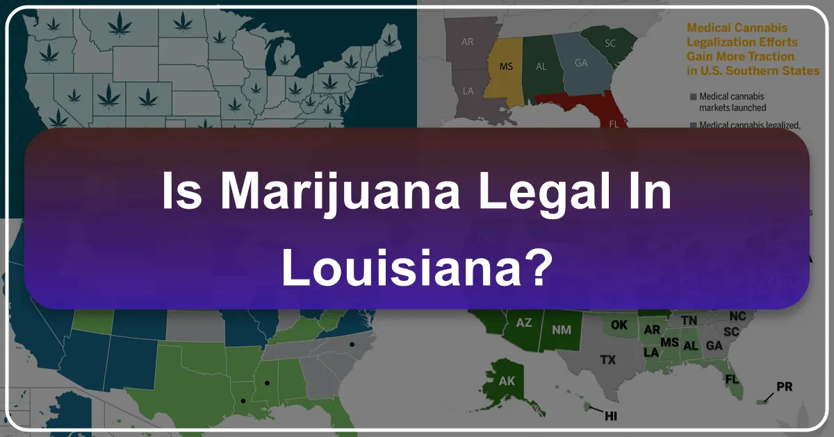 Is Marijuana Legal in Louisiana? Navigating Cannabis Laws for Travelers and Locals