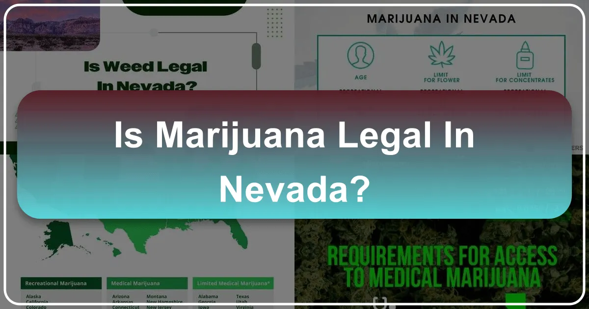 Navigating Nevada's Cannabis Landscape: A Comprehensive Guide for Travelers