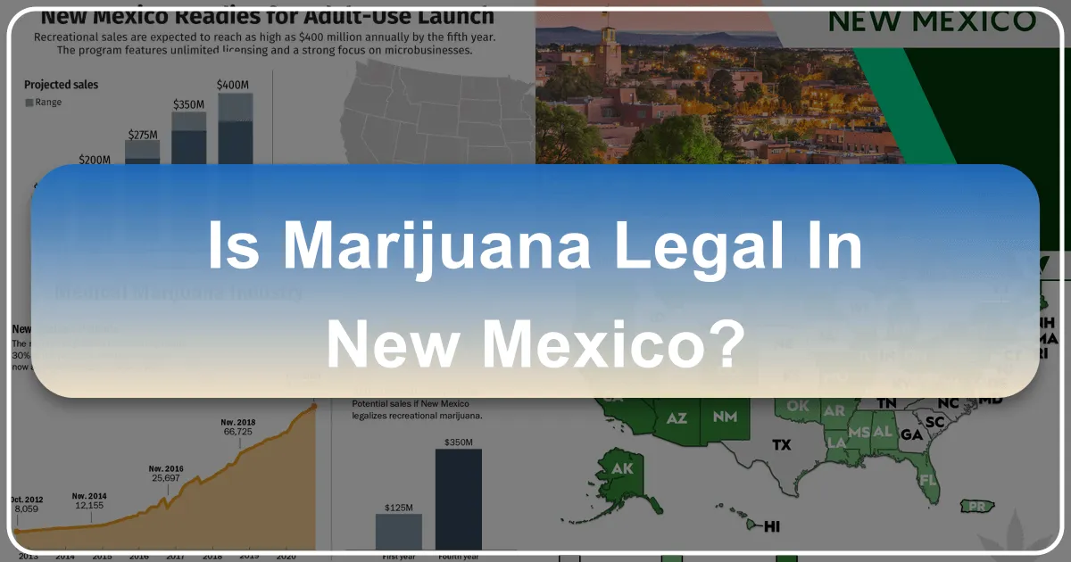Is Marijuana Legal in New Mexico? A Comprehensive Guide for Travelers