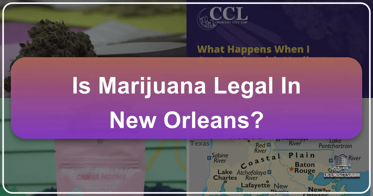 Is Marijuana Legal in New Orleans?