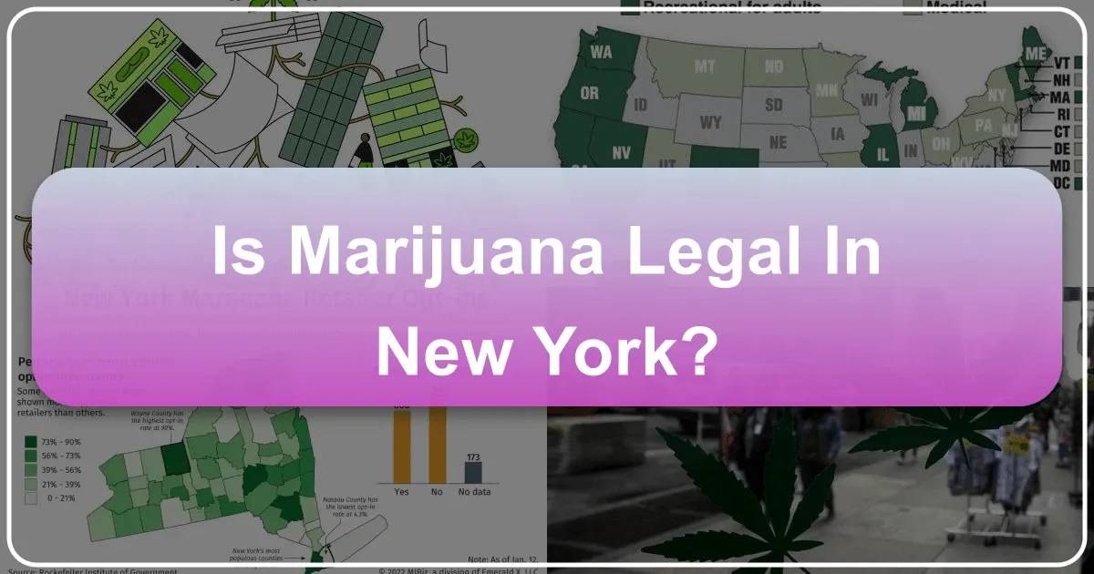 Is Marijuana Legal in New York? Understanding Cannabis Laws for Travelers and Tourists