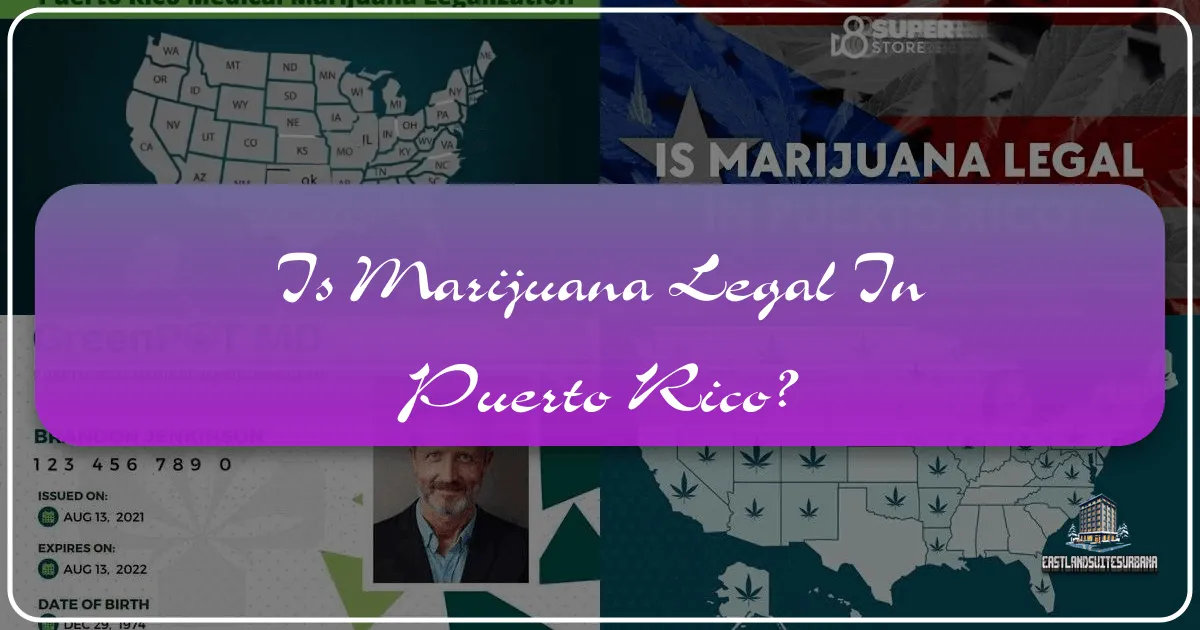Is Marijuana Legal in Puerto Rico