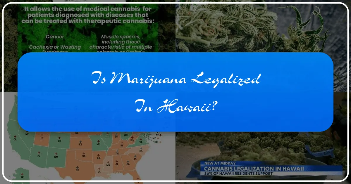Is Marijuana Legalized in Hawaii? Navigating Cannabis Laws for Travelers and Tourists