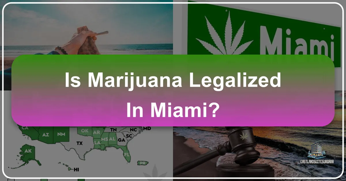 Is Marijuana Legalized in Miami? A Comprehensive Guide for Travelers