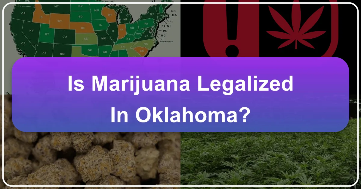 Navigating Oklahoma's Cannabis Laws: A Traveler's Essential Guide