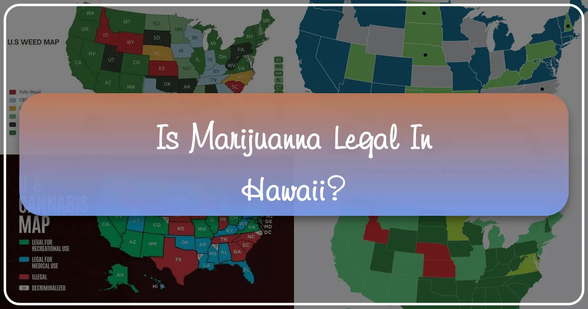 Is Marijuana Legal in Hawaii? Understanding Cannabis Laws for Travelers