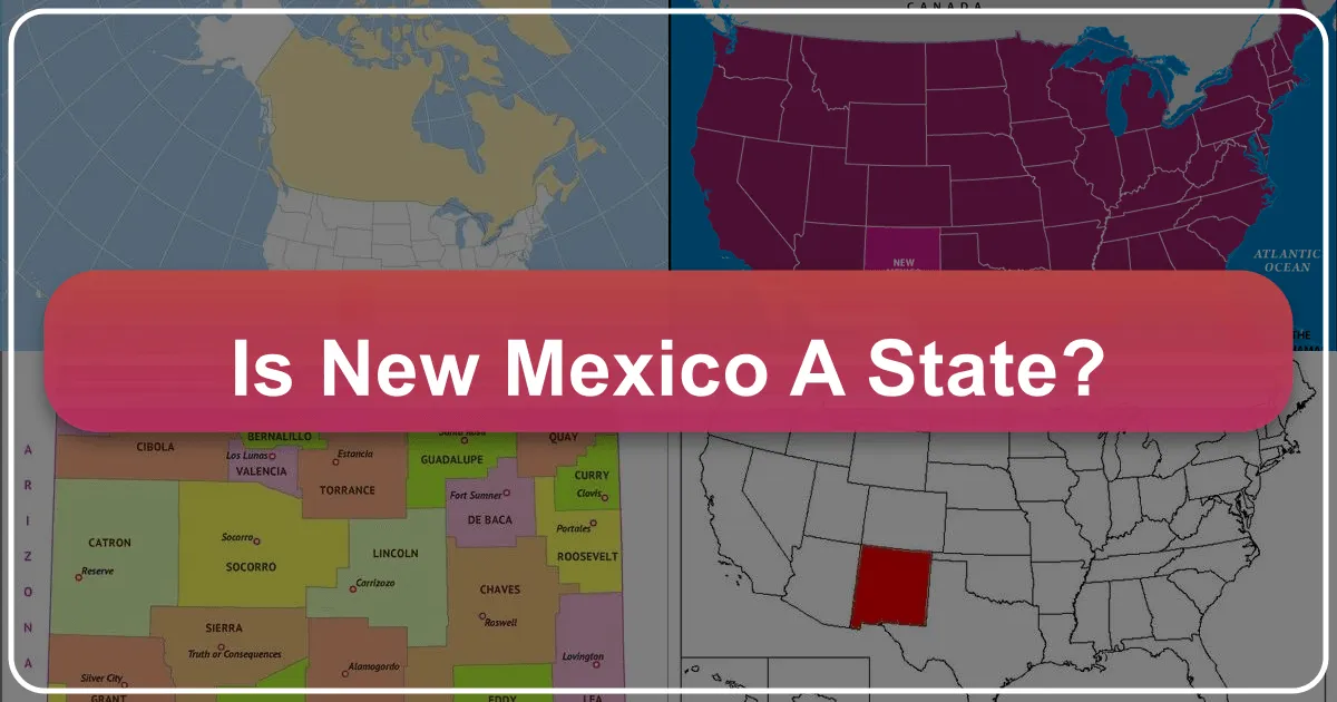Is New Mexico a State?