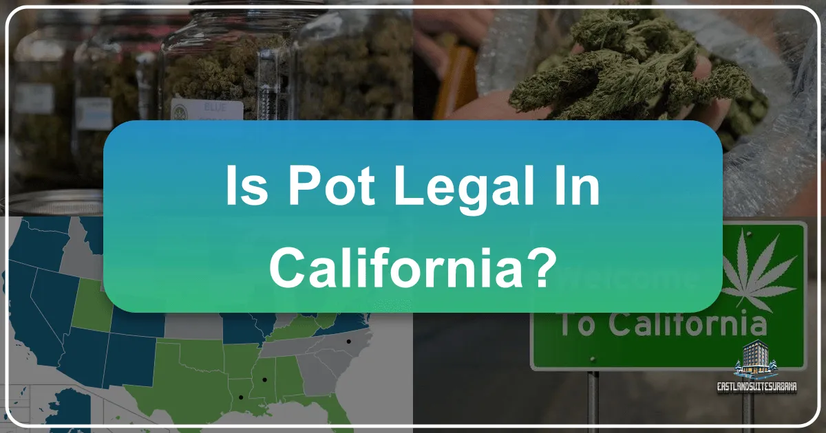 Your Guide to California's Cannabis Culture: What Travelers Need to Know