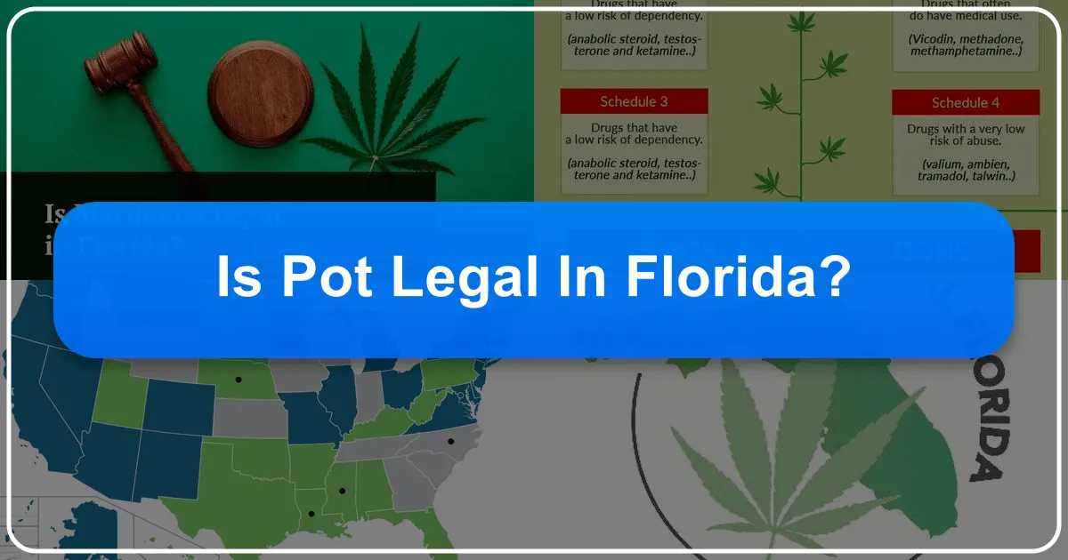 Is Pot Legal in Florida? Navigating Cannabis Laws for Travelers