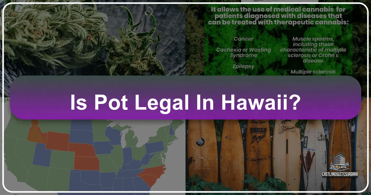 Is Pot Legal in Hawaii? Your Essential Guide to Cannabis Laws in Paradise