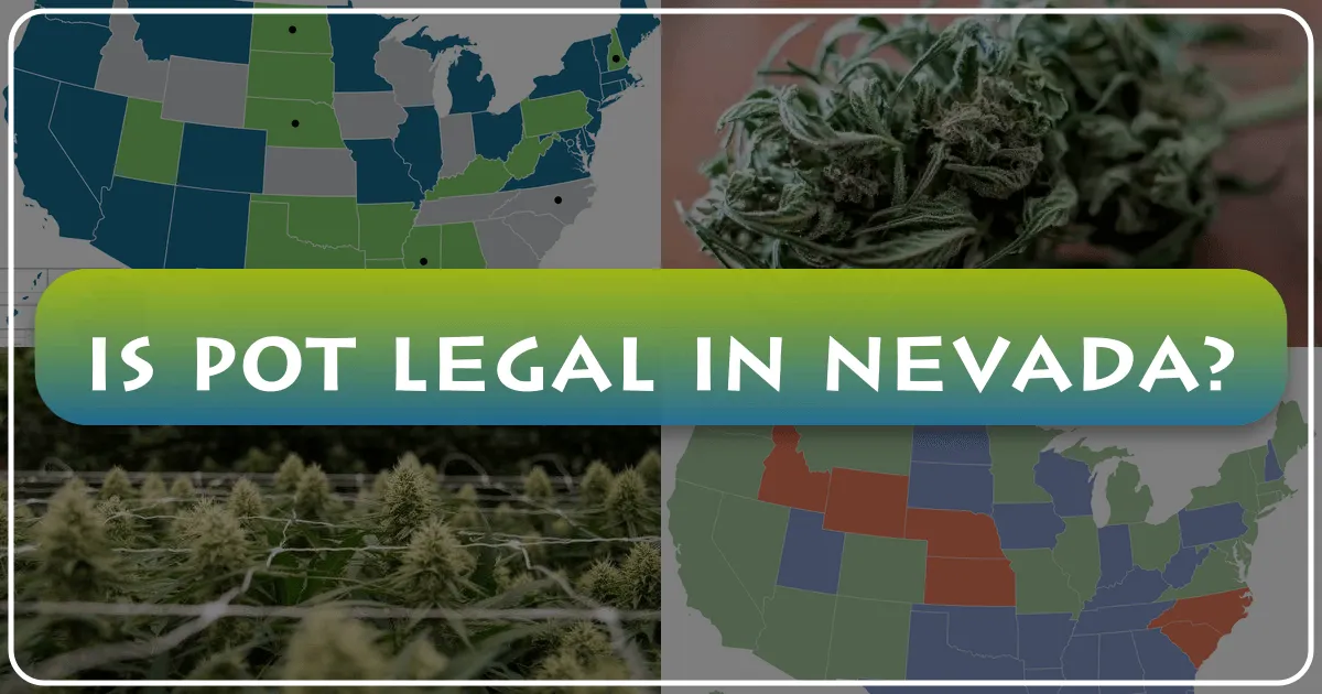 Is Pot Legal in Nevada?