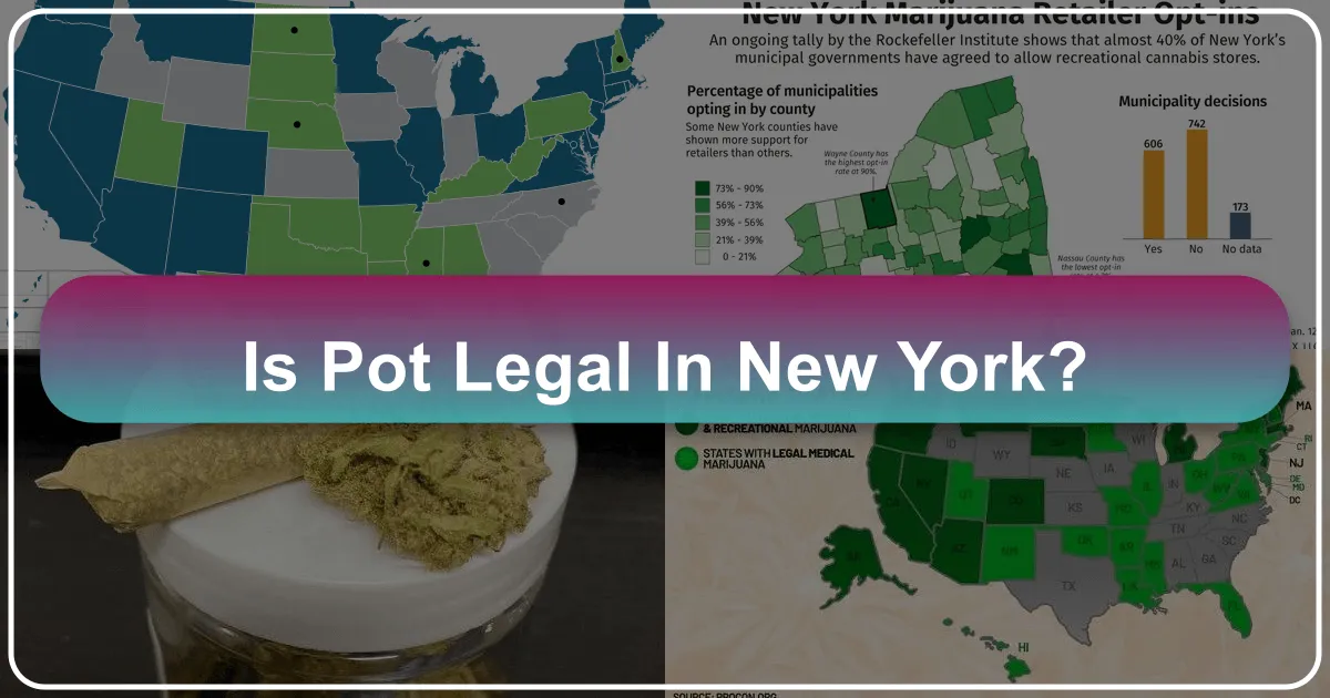 Is Pot Legal in New York? Understanding Cannabis Laws for Travelers