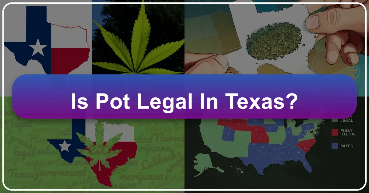 Is Pot Legal in Texas? Navigating Cannabis Laws for Travelers and Residents