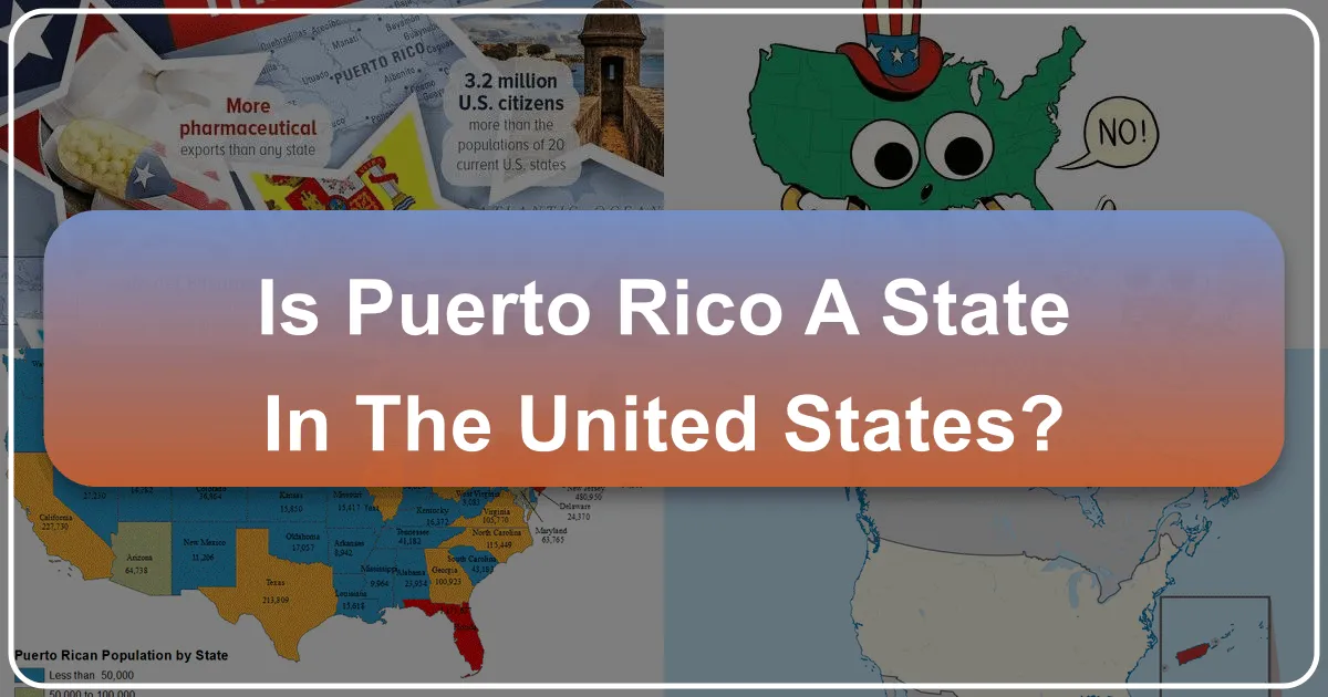 Is Puerto Rico a State in the United States?