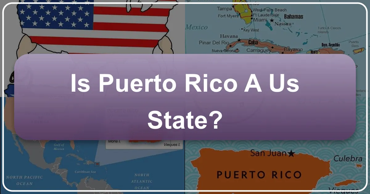 Is Puerto Rico a US State?