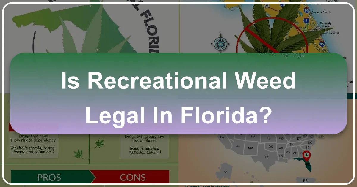 The Current Status of Recreational Cannabis in Florida: A Traveler's Guide