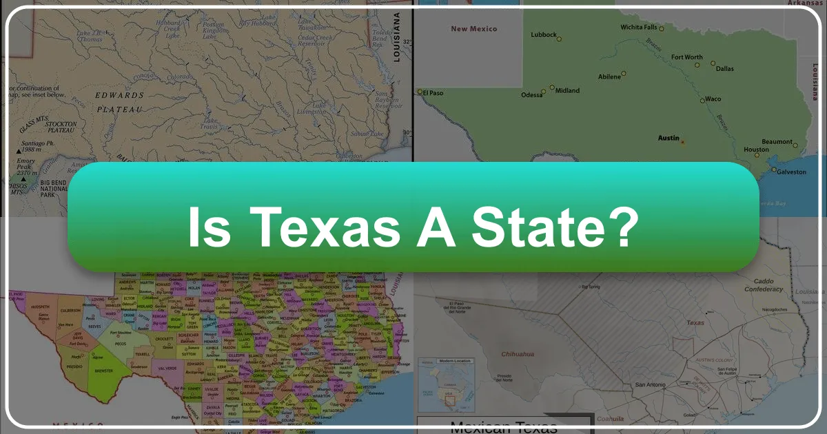 Is Texas a State?