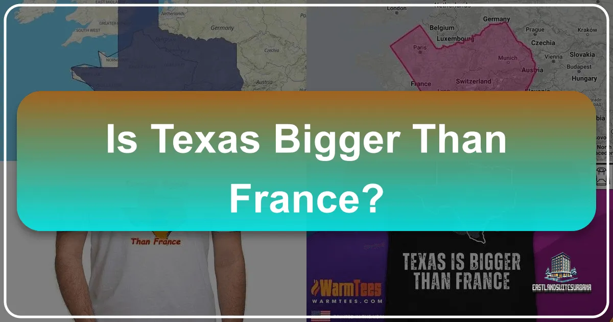 Is Texas Bigger Than France? A Grand Tour of Two Diverse Worlds