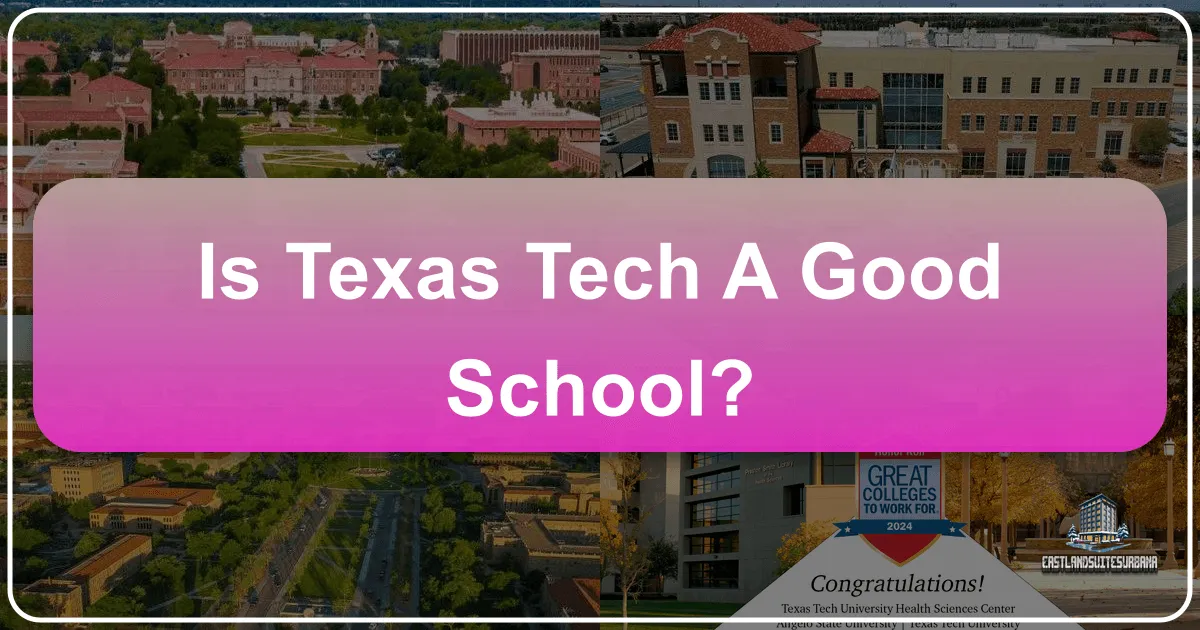 Is Texas Tech a Good School? An Experiential Deep Dive