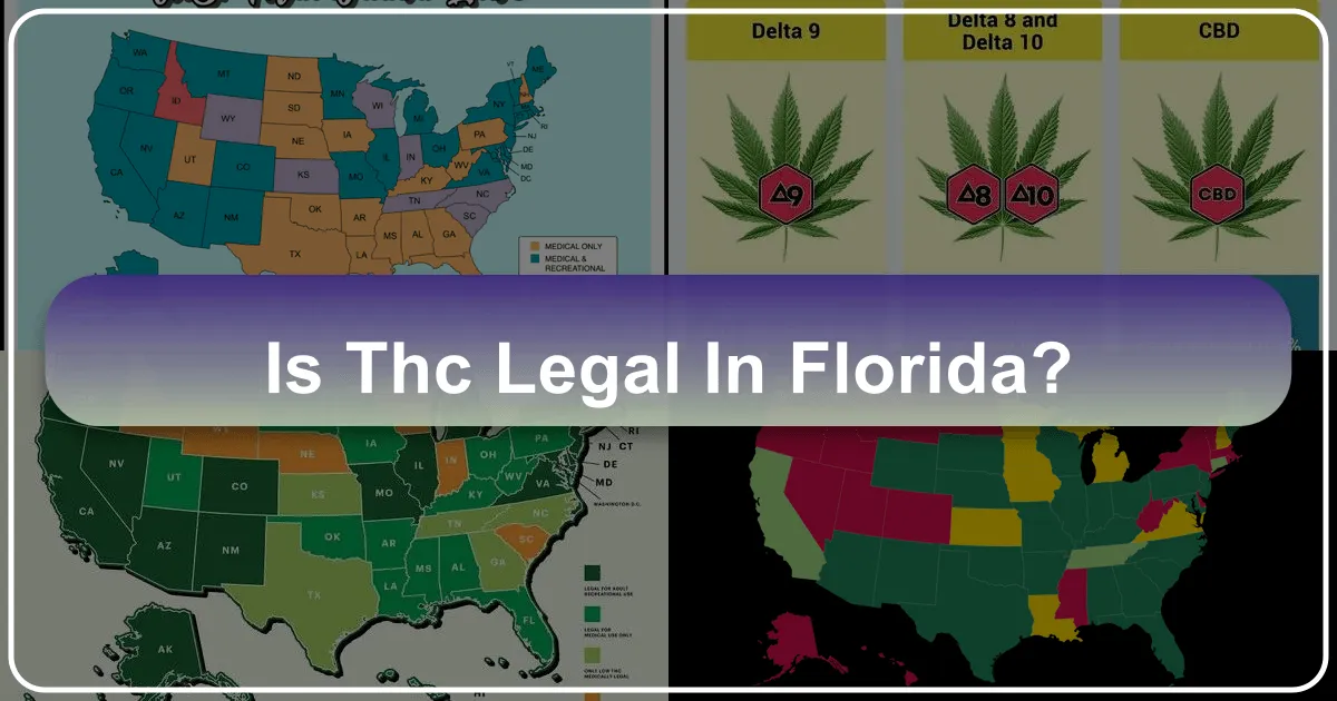 Is THC Legal in Florida? A Comprehensive Guide for Travelers and Residents