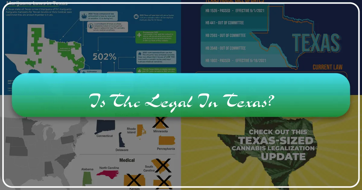 Is THC Legal in Texas? A Traveler's Guide to Cannabis Laws and Responsible Tourism