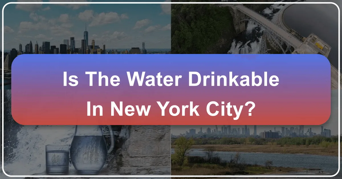 Is The Water Drinkable In New York City?