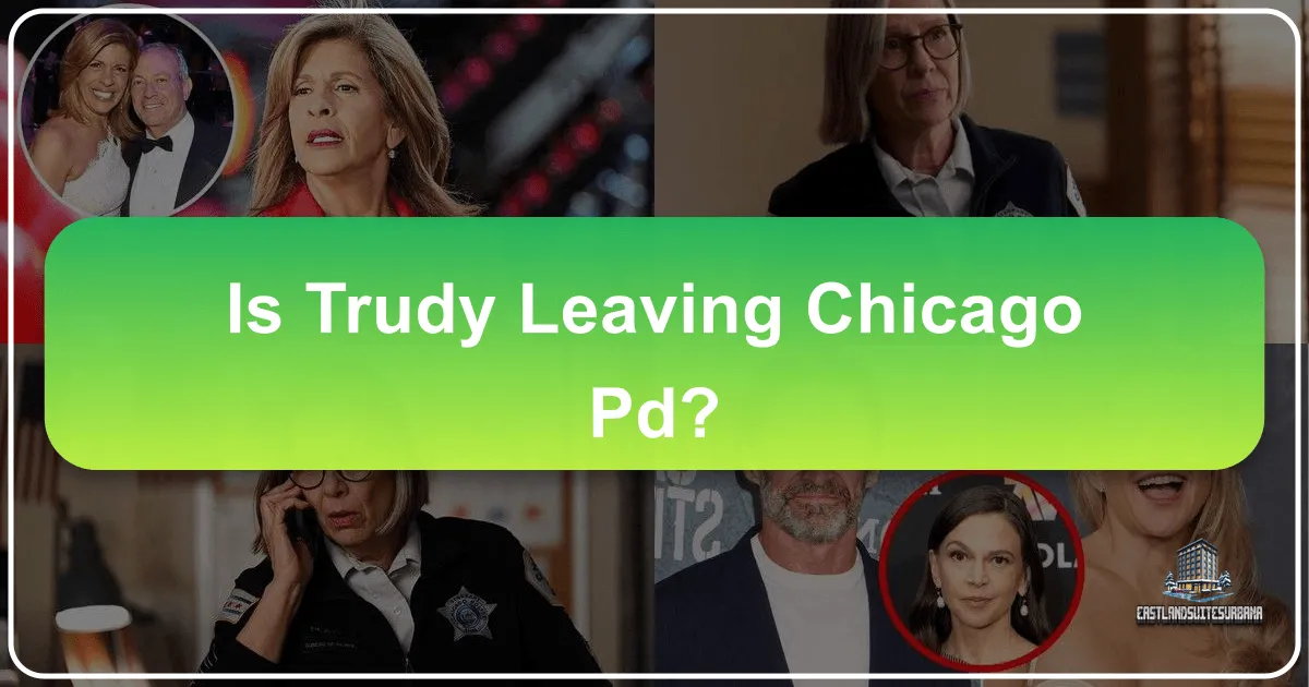 Is Trudy Leaving Chicago Pd?