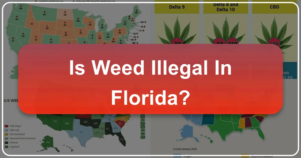 is weed illegal in florida