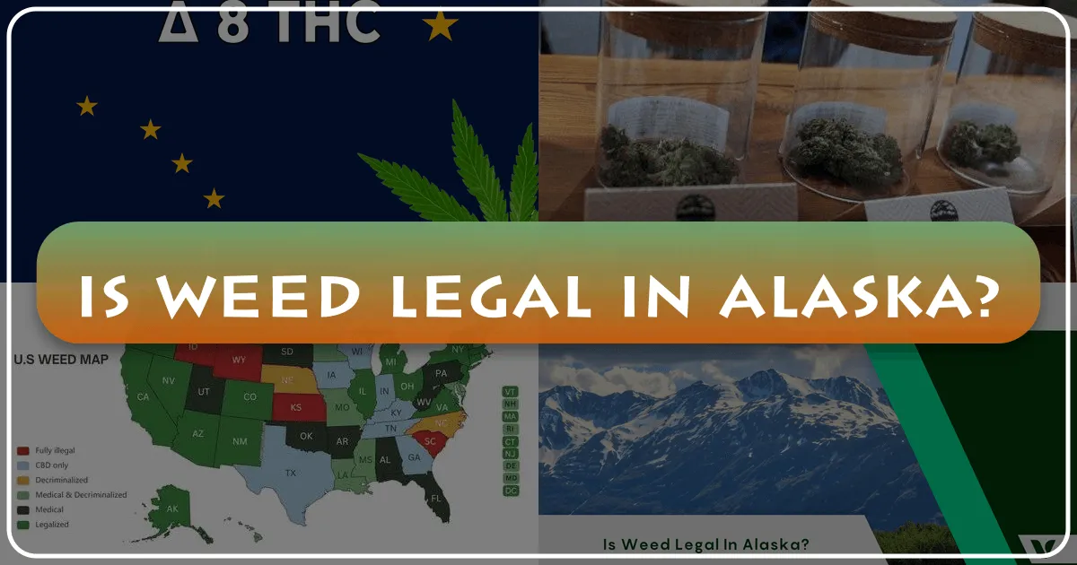 Is Weed Legal in Alaska? Your Ultimate Guide to Cannabis and Alaskan Travel