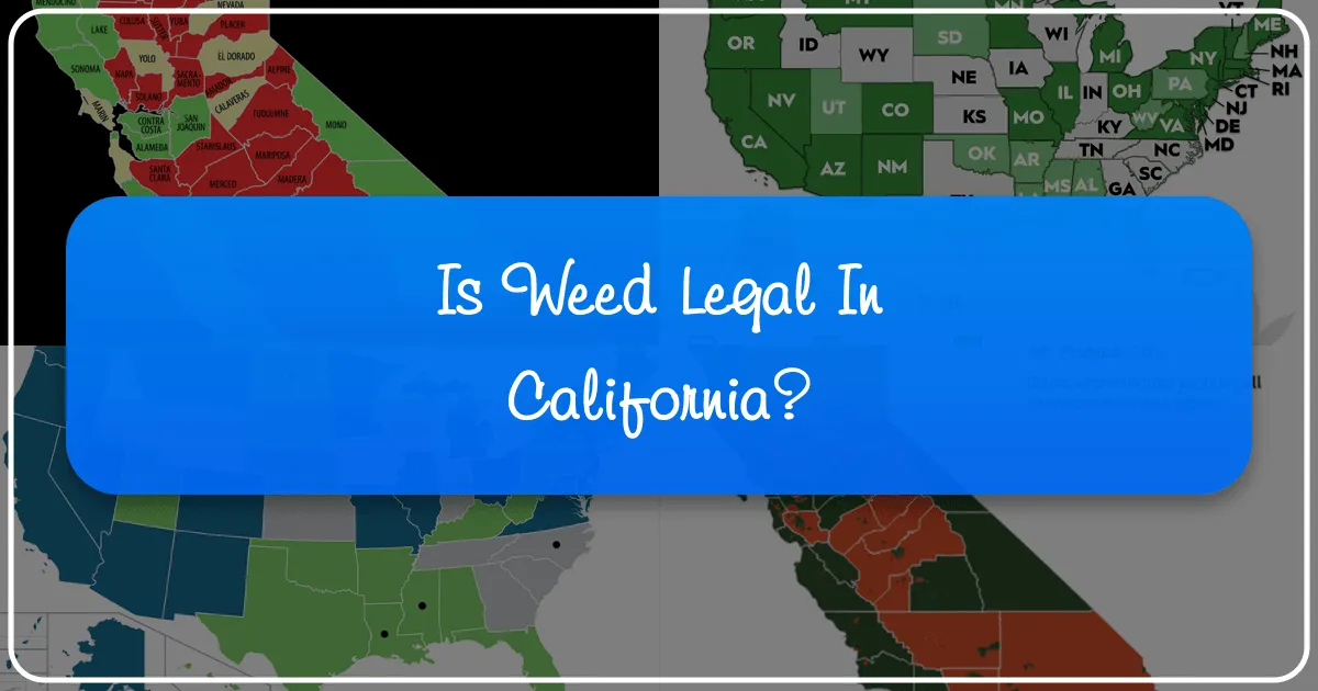 Is Weed Legal in California? Your Comprehensive Travel Guide