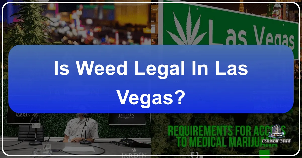 Is Weed Legal in Las Vegas? Navigating Cannabis Laws for Tourists in the Entertainment Capital