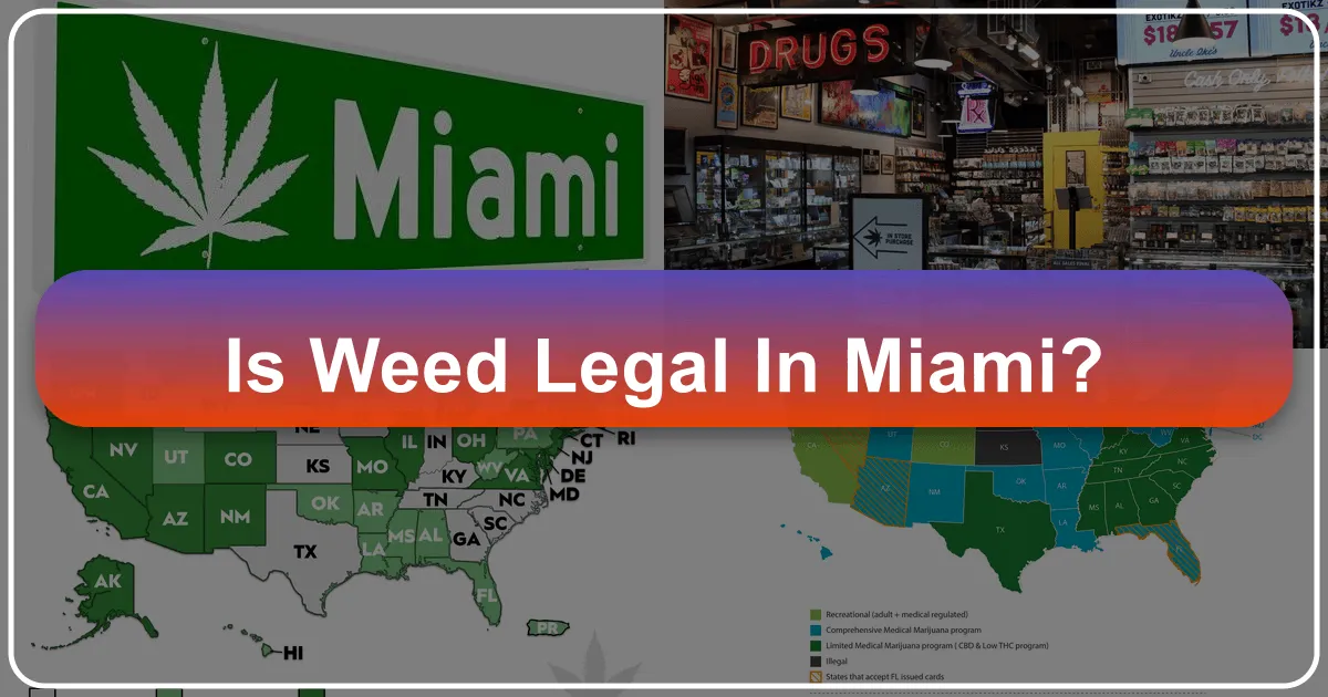 Is Weed Legal in Miami? A Comprehensive Guide for Travelers