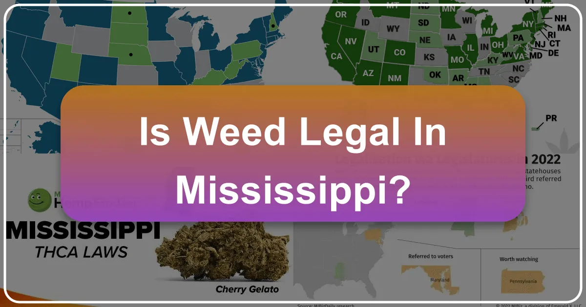 Is Weed Legal in Mississippi? A Comprehensive Guide for Travelers and Residents