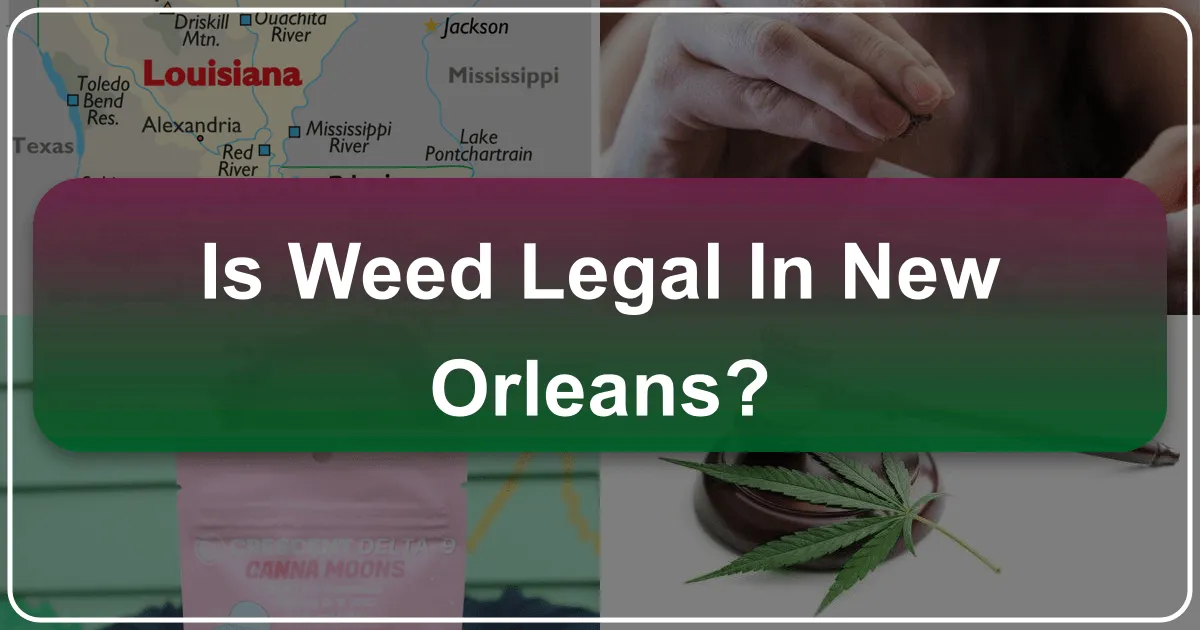 Is Weed Legal in New Orleans? Navigating Cannabis Laws for Travelers