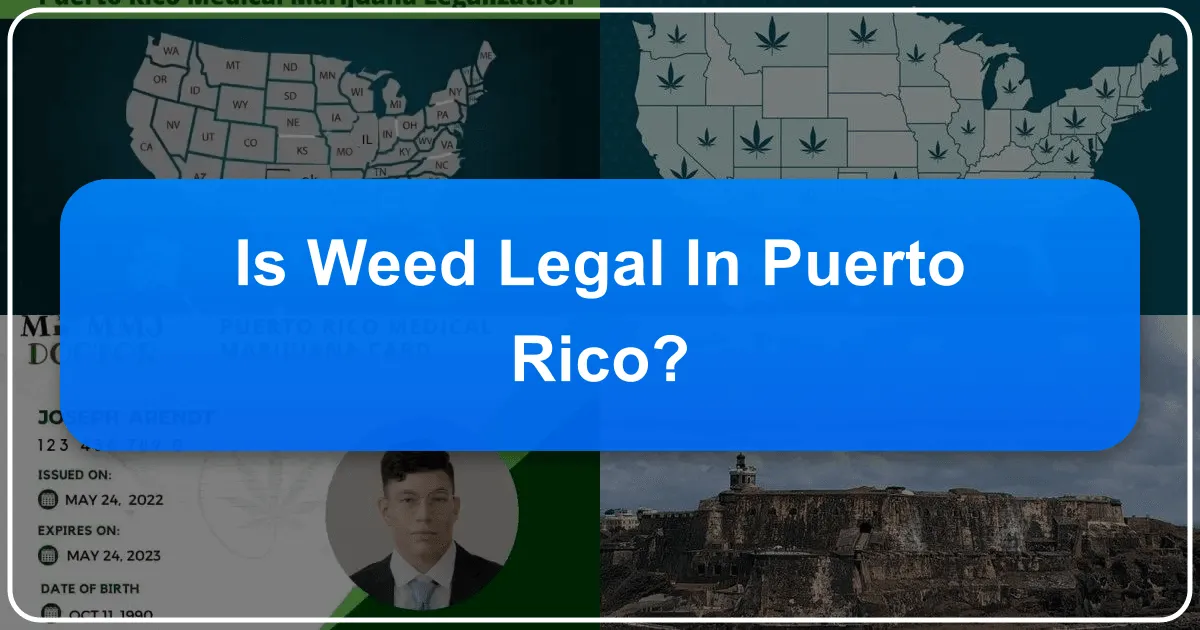 Is Weed Legal in Puerto Rico? A Comprehensive Guide for Travelers