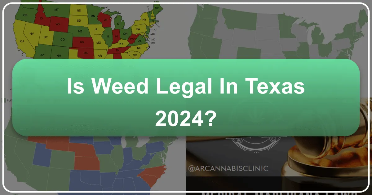 Is Weed Legal in Texas 2024? Navigating Cannabis Laws for Travelers and Locals
